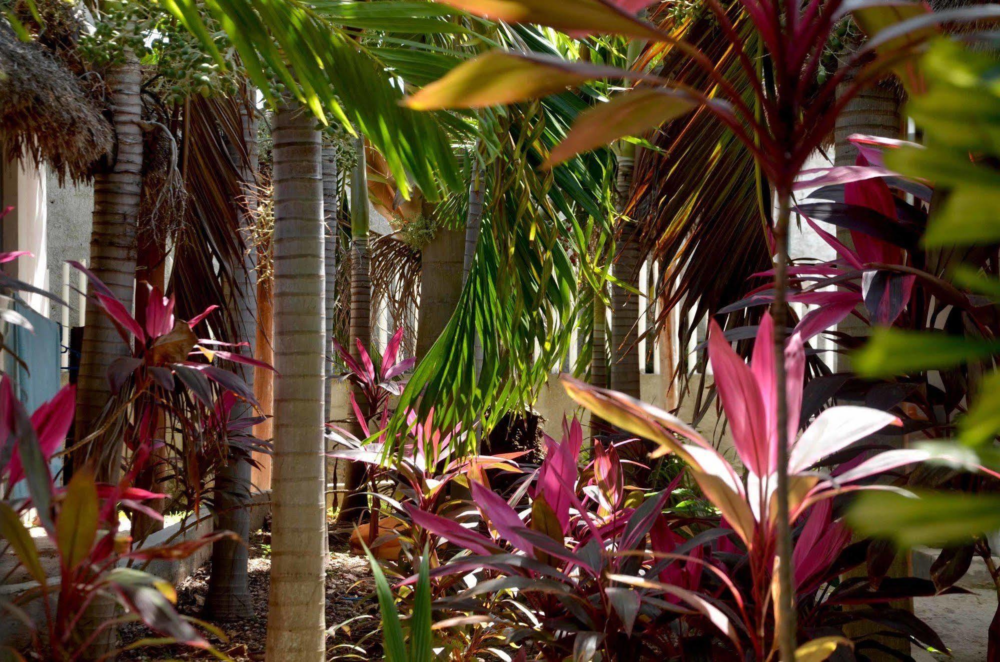 Casa Frida Full Apartments Holbox エクステリア 写真